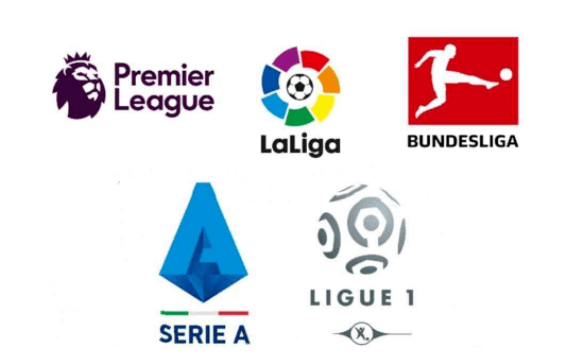 觀賞性和公 觀賞性和公